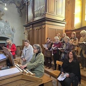 Organistin